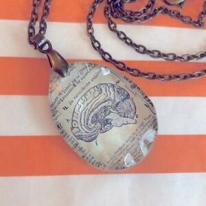 Brain Glass Pendant Anatomy Body Parts Necklace Long Antiqued Copper Chain